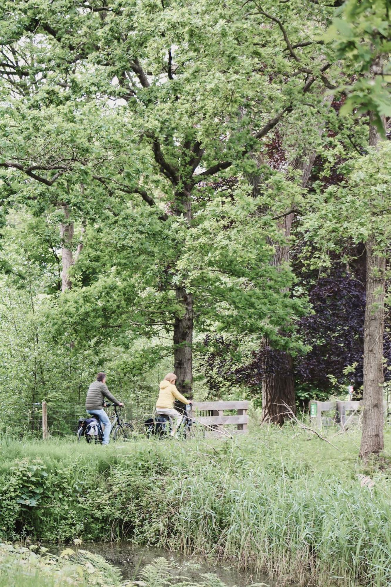 Zoomers Aan Het Bos Castricum Exteriér fotografie